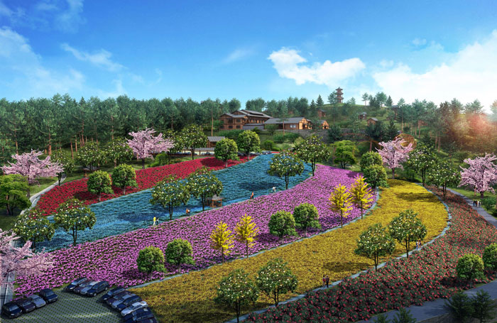 1512443885729029983.jpg 15.jpg