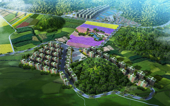 1512444341767057369.jpg 24.jpg